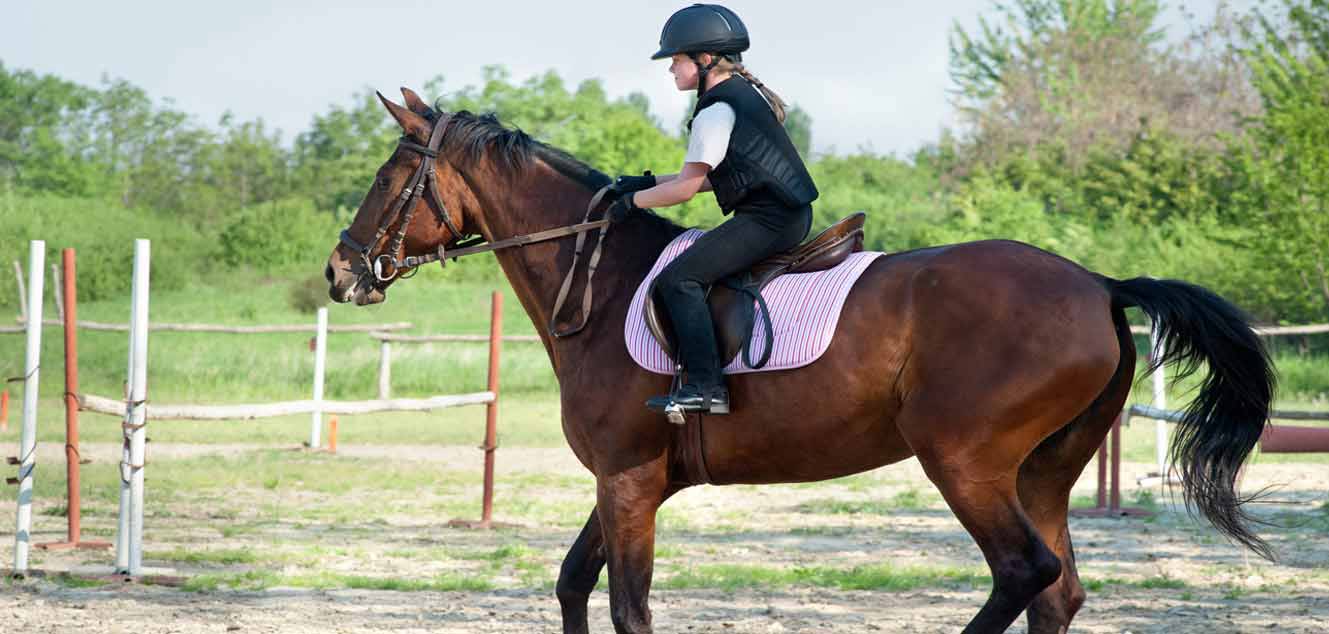 horse riding lessons sacramento ca
